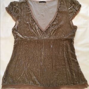 Elie Tahari Champagne Colored Crushed Velvet Top